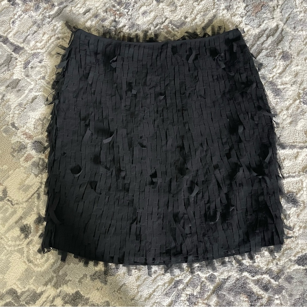 Ann Taylor skirt